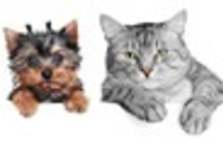 ペットを飼育したい方への耳より情報