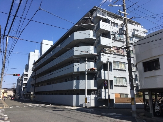 外観図