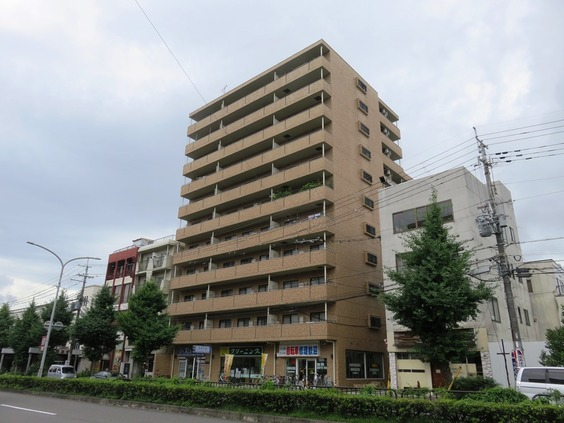外観図