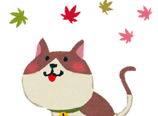 短縮営業のお知らせ　（11/25）