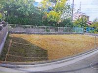 外観図