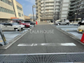 現地写真：2025年3月下旬撮影☆ 