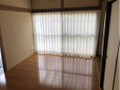 その他の写真 