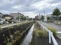 早渕川は氾濫するや否や＾＾