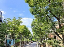 美しが丘1丁目！美しが丘橋の上から