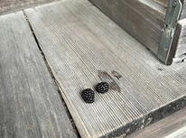 8月1日　今日の風流＾＾　神明社にて