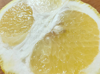 お客様からお土産を頂きました＾＾