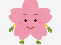 2024年4月7日　たまプラーザ、あざみ野もようやく桜が満開近くになりました！