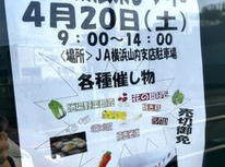 あざみ野新石川のJAさんで4月20日に農業まつりがあるようですよ＾＾