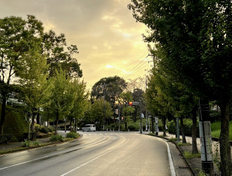 あざみ野からすすき野　雨上がりの夕景　愛車との別れ