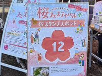 2025年　たまプラーザ桜フェスティバル（桜まつり）　2日目の様子＾＾