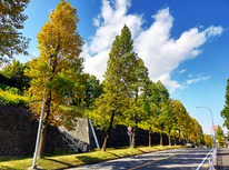 2020年10月末。秋のある日