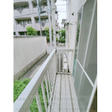  その他の写真  