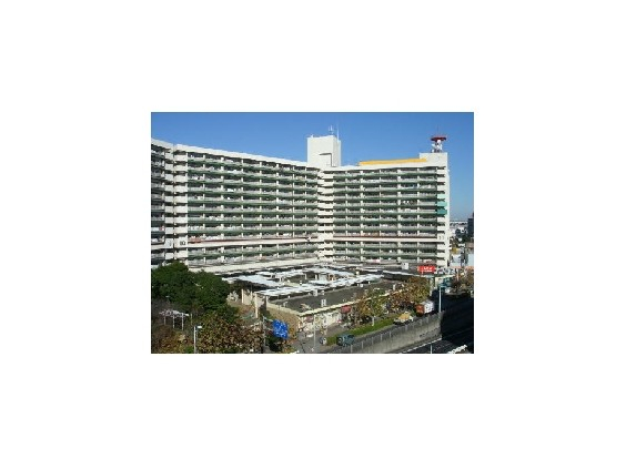 外観図