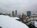 2010/02/02 新丸子の雪