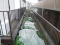  その他の写真 