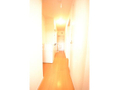  その他の写真 